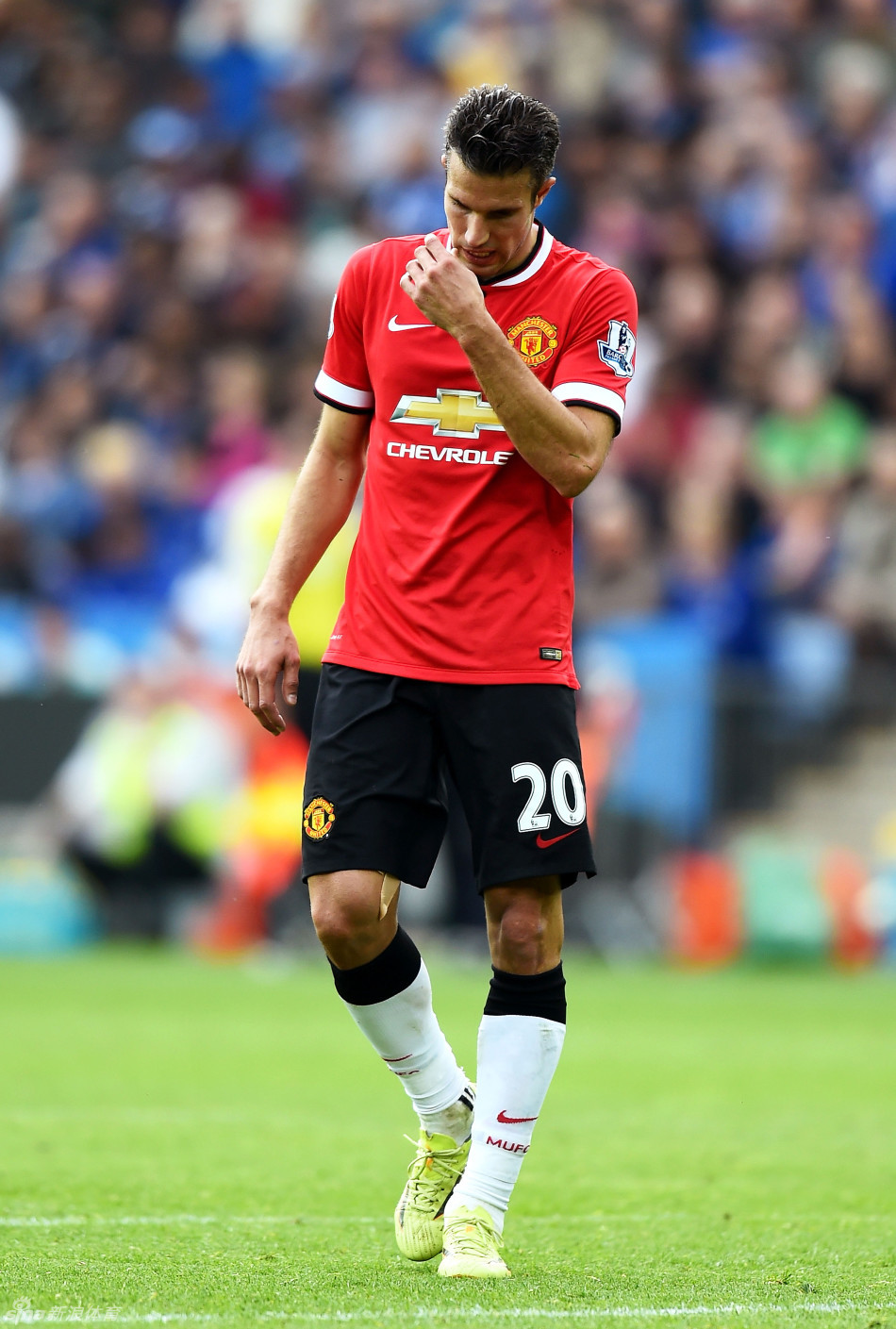 德罗西：我的一些战术从加斯佩里尼那借鉴；扎尼奥洛非常棒（德罗西：部分战术受加斯佩里尼启发，扎尼奥洛非常出色）