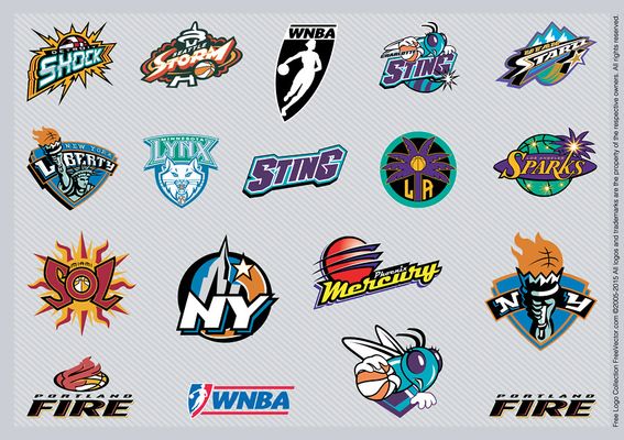 女子篮球联赛战况分析（女子篮球联赛赛况解读）